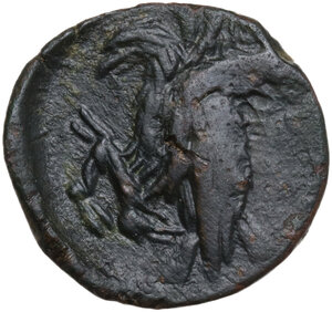 reverse: Akragas. AE 19.5 mm, 287-282 BC