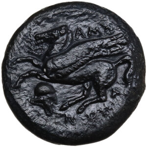 reverse: Entella.  Campanian Mercenaries. . AE 19 mm, c. 307-305 BC