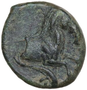 reverse: Solous. AE late fourth-early third centuries BC. Siculo-Punic coinage
