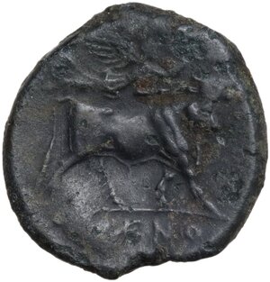 reverse: Samnium, Southern Latium and Northern Campania, Cales. AE 21 mm, 265-240 BC