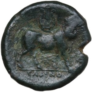 reverse: Samnium, Southern Latium and Northern Campania, Cales. AE 22 mm, c. 265-240 BC