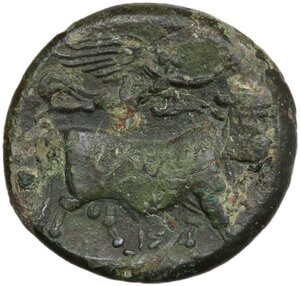 reverse: Central and Southern Campania, Neapolis. AE 19 mm. c. 275-250 BC