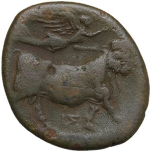 reverse: Central and Southern Campania, Neapolis. AE 21 mm. c. 275-250 BC