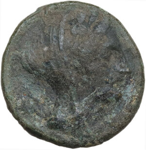 obverse: Eastern Italy, Larinum. AE Biunx, c. 210-175 BC