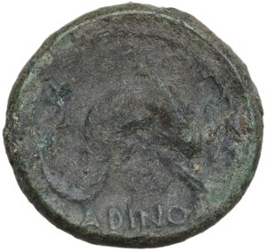 reverse: Eastern Italy, Larinum. AE Biunx, c. 210-175 BC
