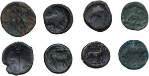 reverse: Lot of eight (8) bronze greek coins