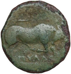 obverse: Northern Apulia, Arpi. AE 20 mm, c. 275-250 BC