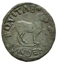 Reverse image