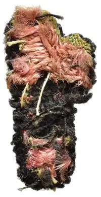 Reverse image