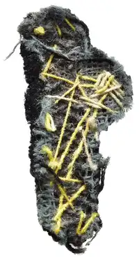 Reverse image
