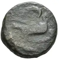 Reverse image