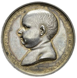 reverse: Medaglie Napoleoniche. Medaglia 1811 