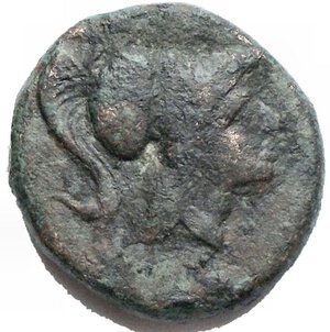 obverse: Mondo greco - Apulia Arpi(III secolo a.C.)AE 12, mm.D/ Testa di Athena a sinistra. R/ APANOY. Grappolo d uva. 4,04 gr.SNG Ans 646.BB+
