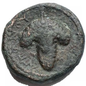 reverse: Mondo greco - Apulia Arpi(III secolo a.C.)AE 12, mm.D/ Testa di Athena a sinistra. R/ APANOY. Grappolo d uva. 4,04 gr.SNG Ans 646.BB+