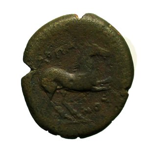 reverse: Mondo Greco. Apulia Arpi (Circa 275-250 a.C.) : D/ Toro cozzante a destra. R/ Cavallo al galoppo a destra. 4,8 gr. Diametro 21 mm HN Italy 645. BB