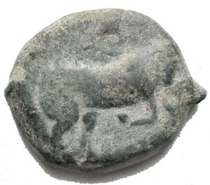 reverse: Mondo Greco - Apulia Arpi(Circa 275-250 a.C.)AE 22 mm. d/ Toro cozzante a destra. R/ Cavallo al galoppo a destra. 9,21 gr.HN Italy 645.BB+ Patina verde