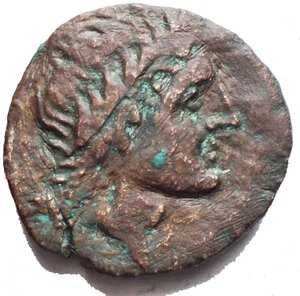 obverse: Mondo Greco - Apulia Salapia. 225-210 a.C.Ae. D/ Testa laureata di Apollo verso destra. R/ Cavallo rampante verso destra, sotto etnico, sopra stella a cinque raggi. SNG 1411. Peso 6,93 gr. Diametro 19,66 mm.qBB. R.