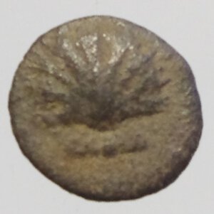 obverse: Mondo Greco. Calabria. Tarentum. 420-227 a.C. Obolo. AG. D/ Conchiglia. R/ Delfino a sinistra dietro Nike Cfr. SNG ANS 1525 var. Peso gr. 0,8. BB+.RR