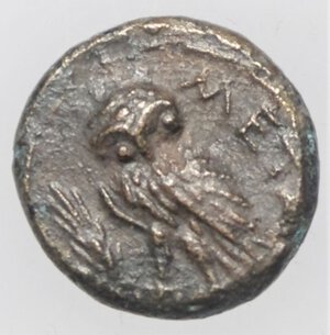obverse: Mondo Greco. Lucania. Metaponto. IV secolo a.C. Ae 16. D/ Atena avanza verso destra con scudo e lancia. R/Civetta su Spiga di grano, dietro META. ANS2n567. Peso 3,40 gr. Diametro 15,78 mm.qSPL.RR
