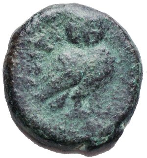 reverse: Mondo Greco - Ae da catalogare d/Minerva r/ Gufo. Etruria ?. g 3,4