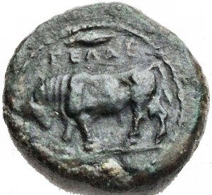 reverse: Mondo Greco -Sicilia.Gela.Oncia, 420-405 a.C.D/ Toro a sinistra. In esergo: un globetto.R/ Testa del dio fluviale Gelas a destra.SNG ANS 108.gr 1,03.AE.SPL.