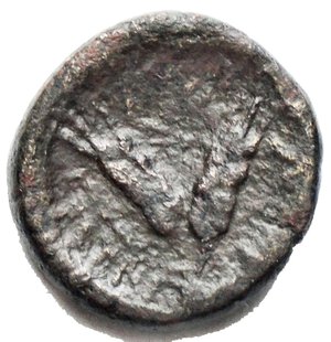 reverse: Mondo Greco - Sicily, Leontinoi, c. 2nd-1st century BC.  (16.12 mm, 4.01 g). Jugate heads of Apollo and Artemis r.; plow to l. R/ Two grain-ears, bound together. CNS III, 10; HGC 2, 722. Rare, dark green patina, VF