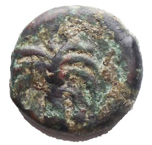 obverse: Mondo Greco - Africa.Zeugitania, Carthage.AE, circa 400-350 BC.Obv. Head of horse right.Rev. Palm tree.SNG Cop. 102.AE.g 3,94.mm 15,6GoodVF.