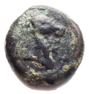 reverse: Mondo Greco - Africa.Zeugitania, Carthage.AE, circa 400-350 BC.Obv. Head of horse right.Rev. Palm tree.SNG Cop. 102.AE.g 3,94.mm 15,6GoodVF.
