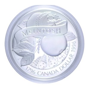reverse: CANADA DOLLARO 1996 AG. 25,1 GR. IN COFANETTO PROOF