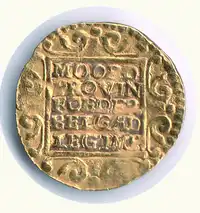 Reverse image