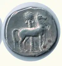 Reverse image