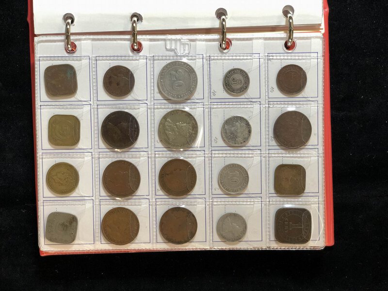 Immagine aggiuntiva 3