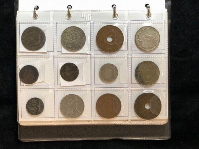 Immagine aggiuntiva 8