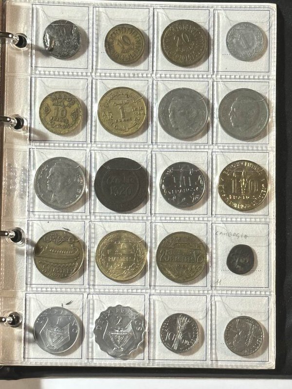 Immagine aggiuntiva 5