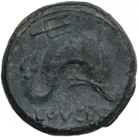 Reverse image