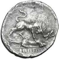 Reverse image