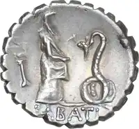 Reverse image