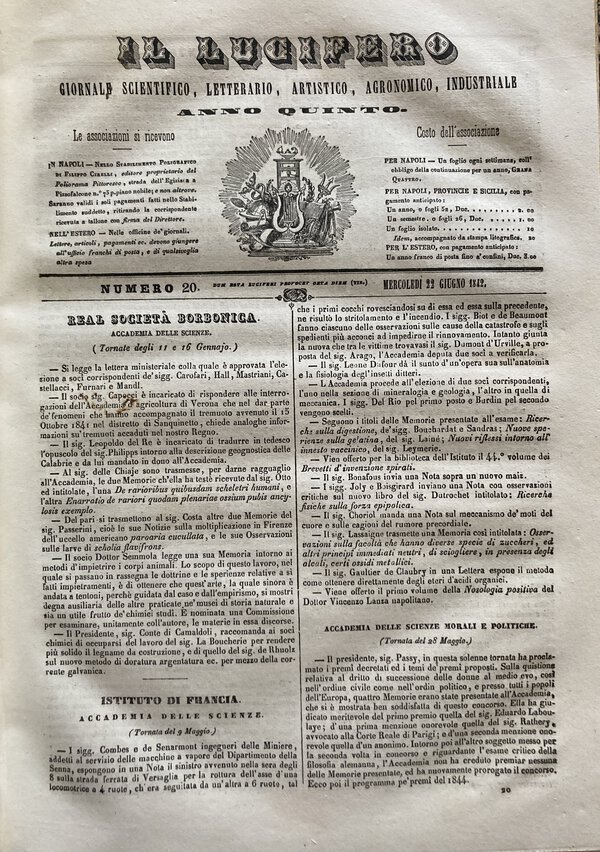 Immagine aggiuntiva 1