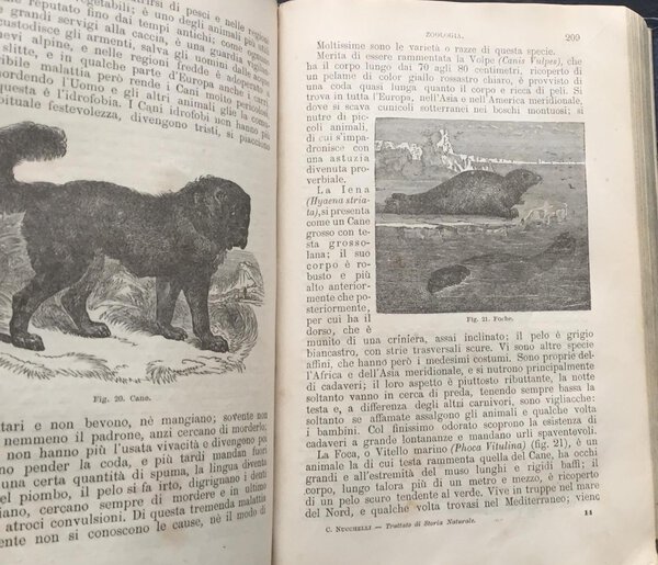 Immagine aggiuntiva 1