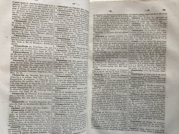 Immagine aggiuntiva 1