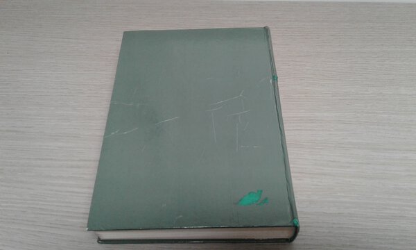 Immagine aggiuntiva 5