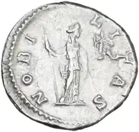 lot 505