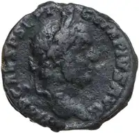 lot 510