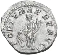 lot 515