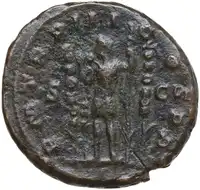 lot 534