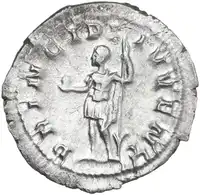 lot 560