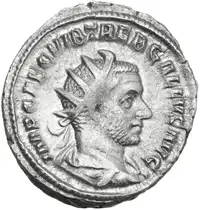 lot 570