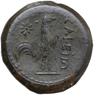 reverse: Samnium, Southern Latium and Northern Campania, Cales. AE 19 mm. c. 265-240 BC