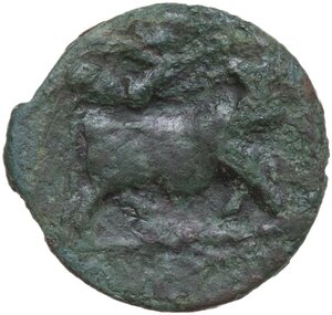 reverse: Samnium, Southern Latium and Northern Campania, Teanum Sidicinum. AE 19 mm, c. 265-240 BC