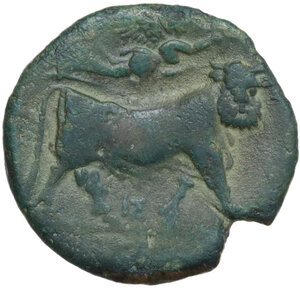 reverse: Central and Southern Campania, Neapolis. AE 19.5 mm. c. 275-250 BC